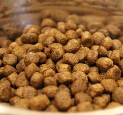 Acana Wild Coast Fish Formula Dry Dog Food (All Breeds & Ages)