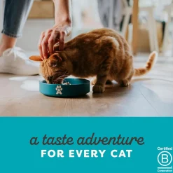 Applaws Natural Cat 55% Tuna with 7% Salmon in Jelly Wet Cat Food - 70 g