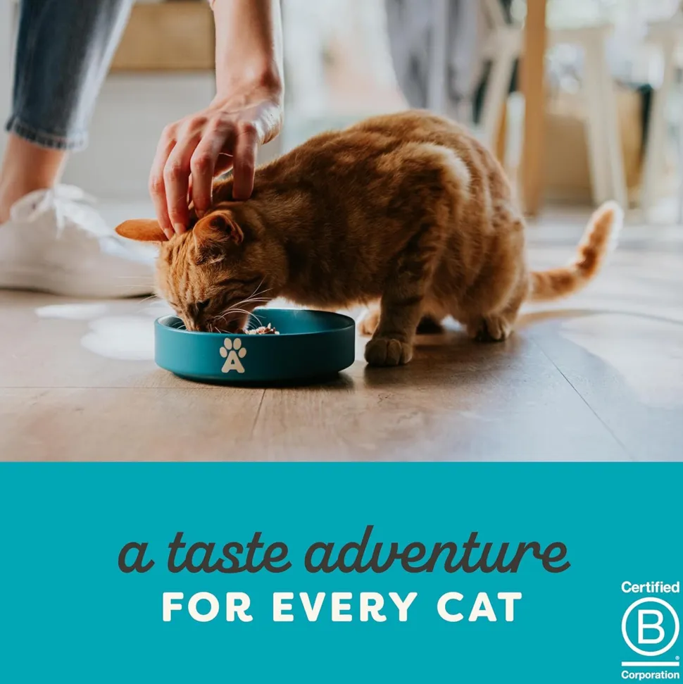 Applaws Natural Cat 55% Tuna with 7% Salmon in Jelly Wet Cat Food - 70 g
