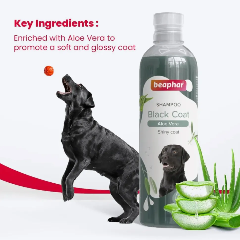 Beaphar Black And Shiny Coat Shampoo For Dog - Aloe Vera - 250 ml