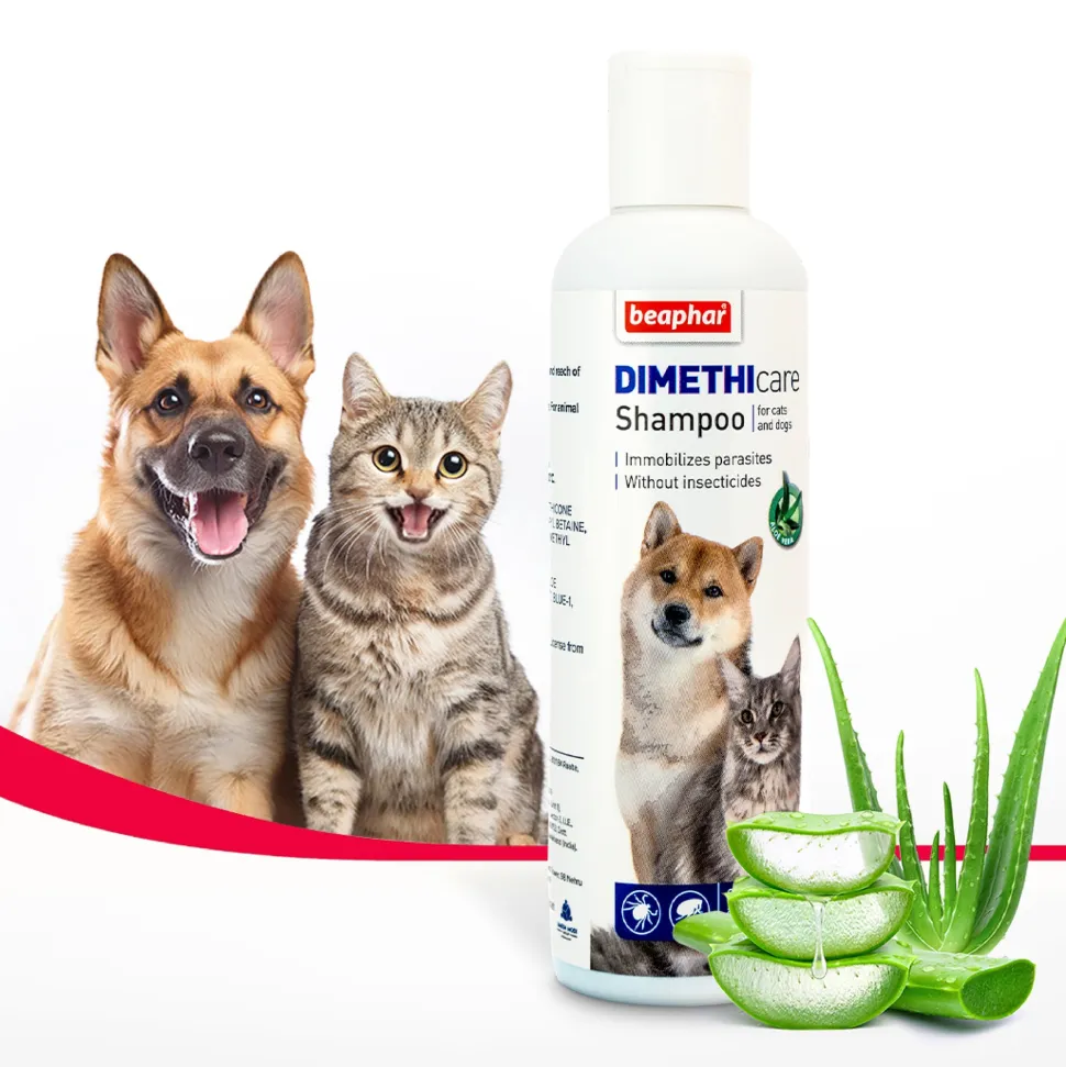 Beaphar Dimethicare Tick & Flea Shampoo For Dog & Cat - Aloe Vera - 200 ml