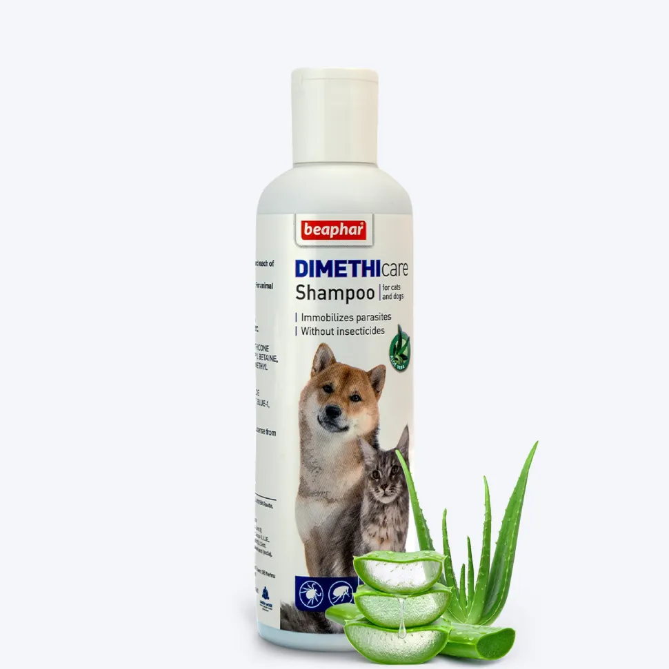 Beaphar Dimethicare Tick & Flea Shampoo For Dog & Cat - Aloe Vera - 200 ml