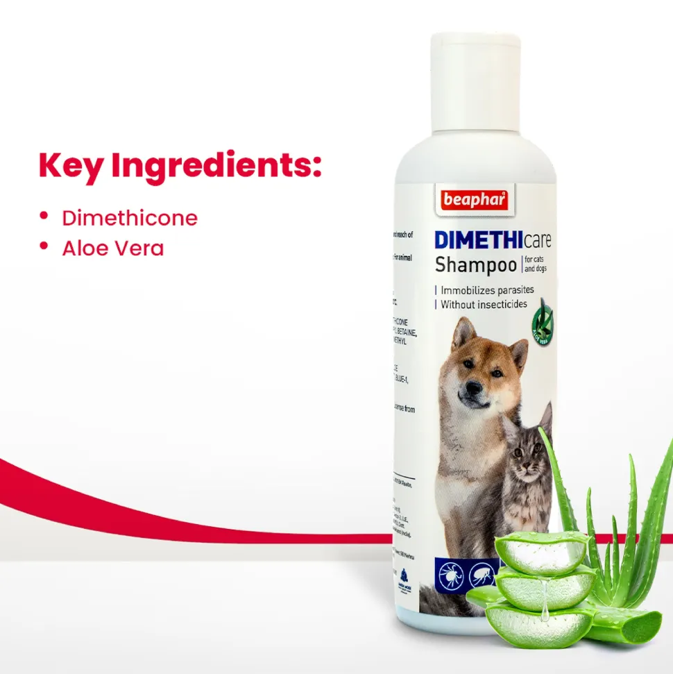 Beaphar Dimethicare Tick & Flea Shampoo For Dog & Cat - Aloe Vera - 200 ml