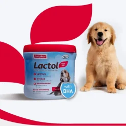 Beaphar Lactol Milk Replacement Powder Dry Food For New Born Puppy