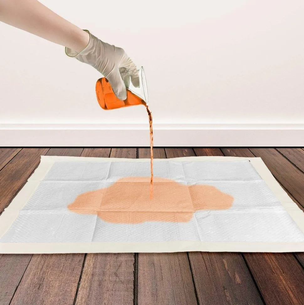 Bramton OUT! Go Here Dog Pads - Moisture Lock Training Pads