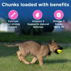 Chappi Chicken & Milk Dry Food For Puppy