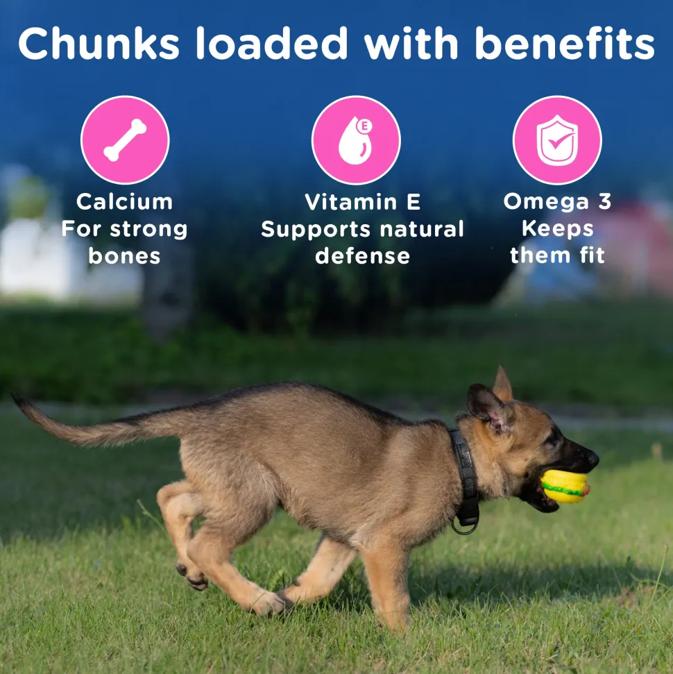 Chappi Chicken & Milk Dry Food For Puppy