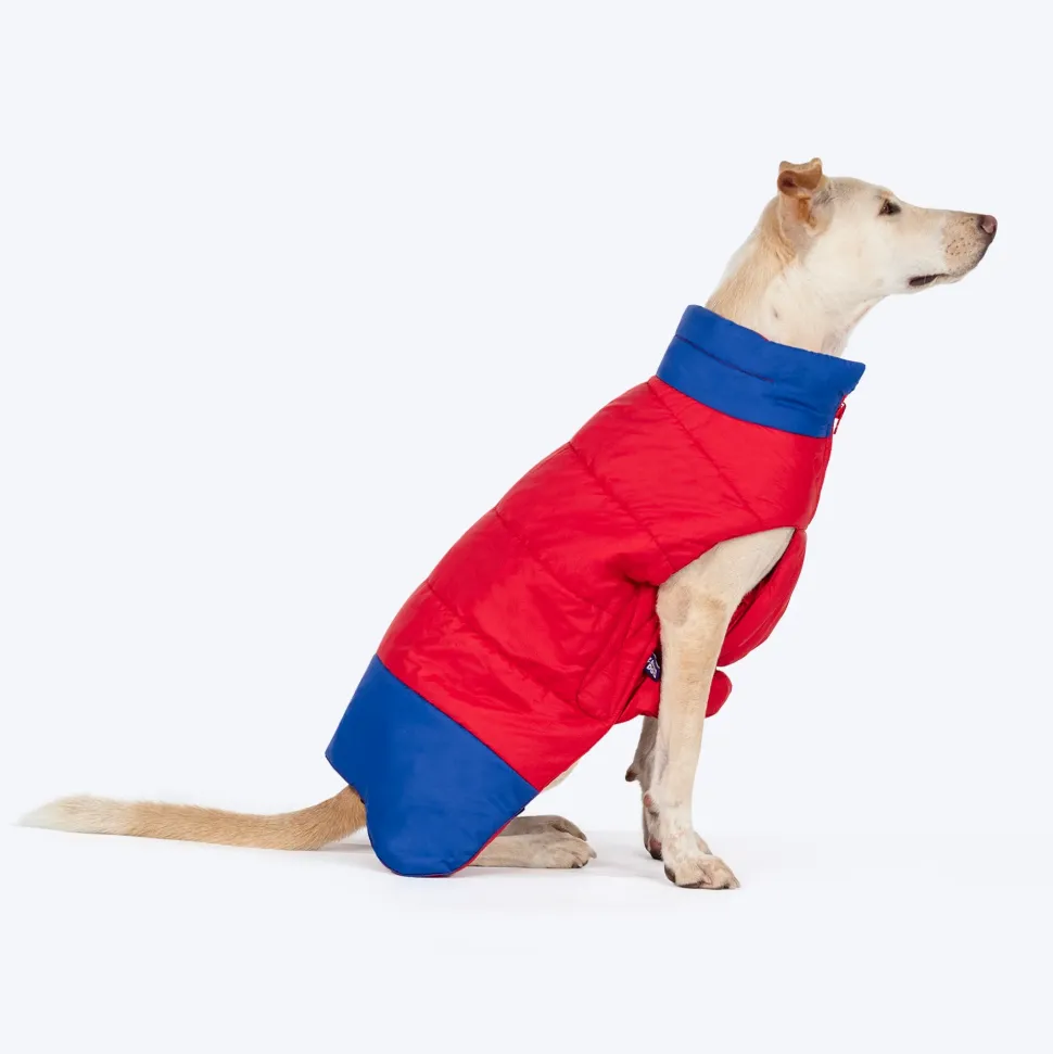 Dash Dog Outbounders Puffer Jacket For Dog - Red & Blue