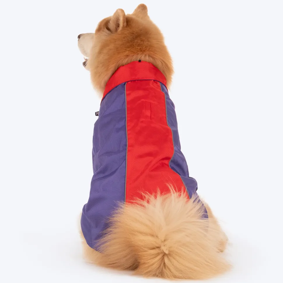 Dash Dog Outdoor Dog Jacket - Violet & Red