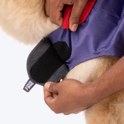 Dash Dog Outdoor Dog Jacket - Violet & Red