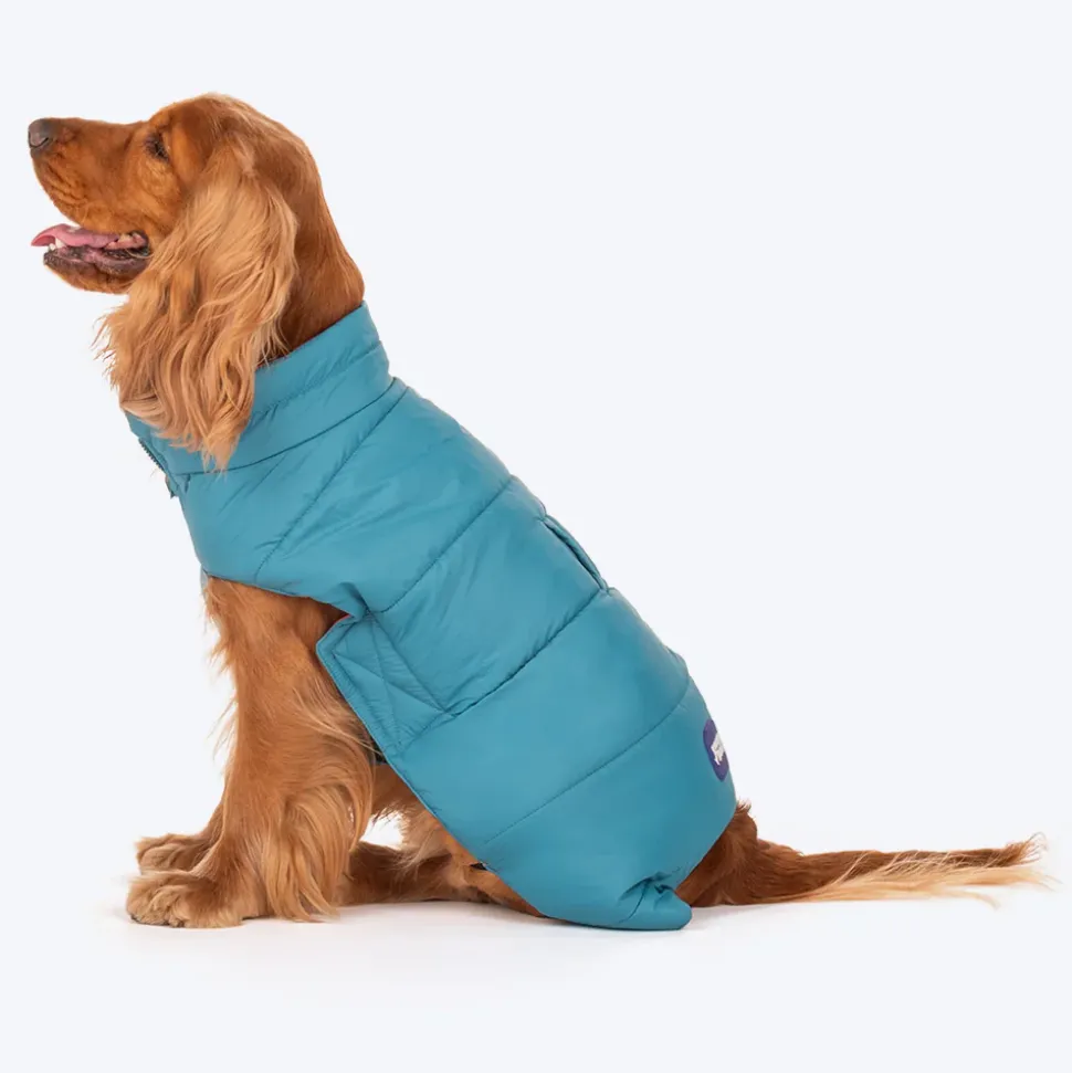 Dash Dog Puffer Dog Jacket - Aqua & Coral