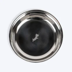 Dash Dog Rainbow Dog Bowl