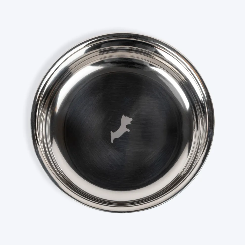 Dash Dog Rainbow Dog Bowl