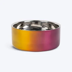 Dash Dog Rainbow Dog Bowl