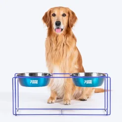 Dash Dog Rainbow Rush Elevated Double Diner With Steel Bowl Inserts For Dog - Violet