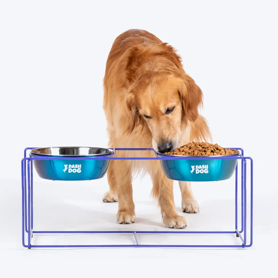 Dash Dog Rainbow Rush Elevated Double Diner With Steel Bowl Inserts For Dog - Violet