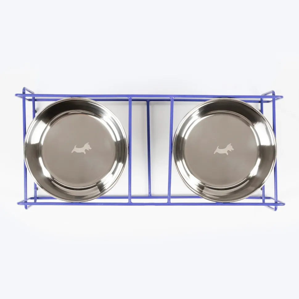 Dash Dog Rainbow Rush Elevated Double Diner With Steel Bowl Inserts For Dog - Violet