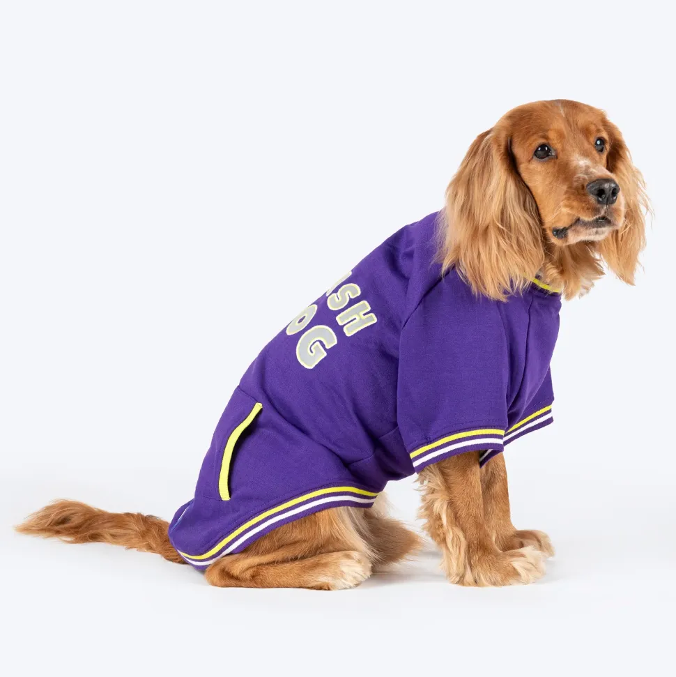 Dash Dog Trailblazer Pocket Sweatshirt For Dog - Purple