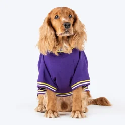 Dash Dog Trailblazer Pocket Sweatshirt For Dog - Purple