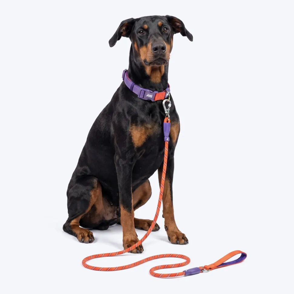 Dash Dog Chaser Rope Leash For Dog - Red