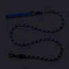 Dash Dog Chaser Rope Leash For Dog - Blue