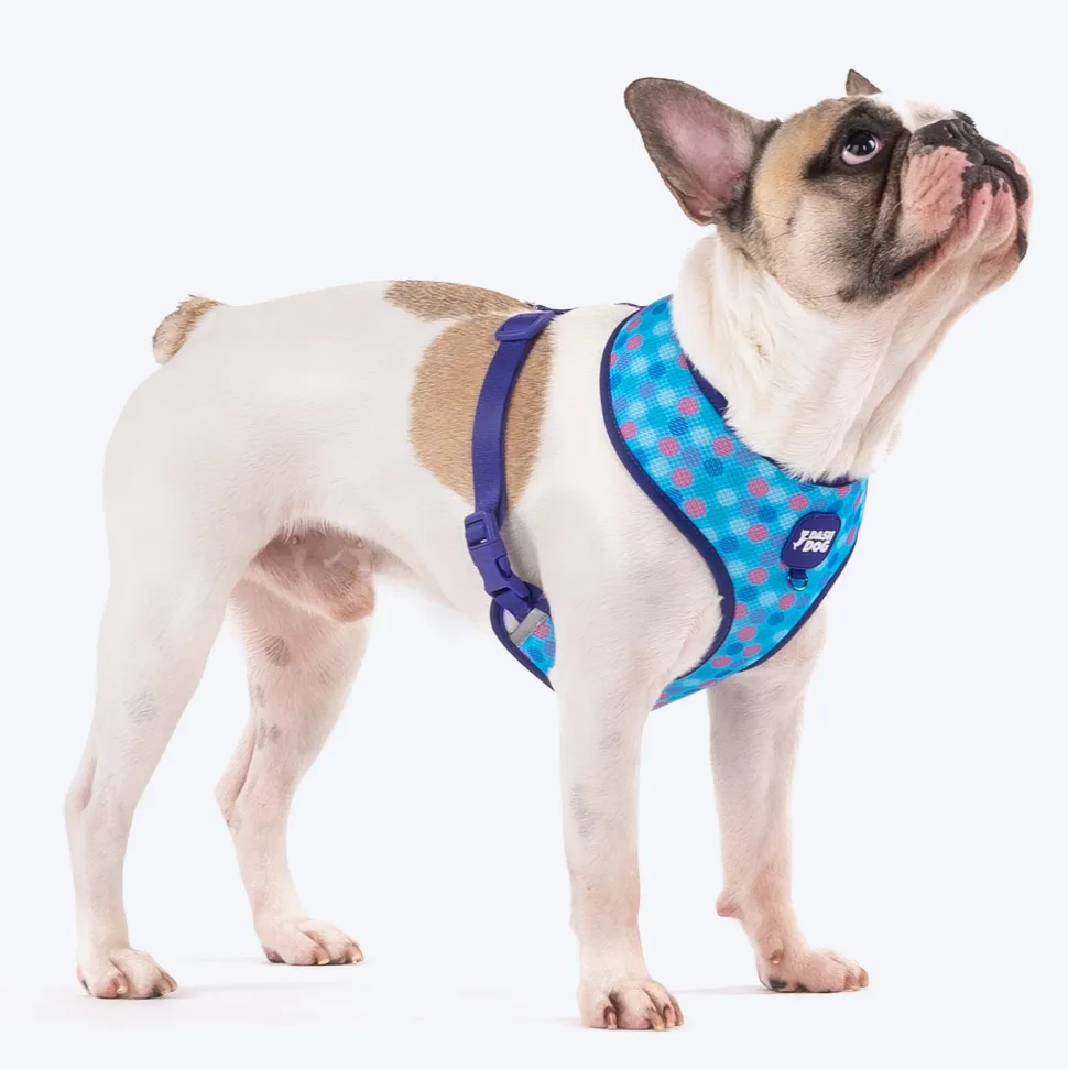Dash Dog Circle Double Harness - Aqua Blue & Lavender