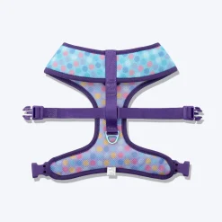 Dash Dog Circle Double Harness - Aqua Blue & Lavender