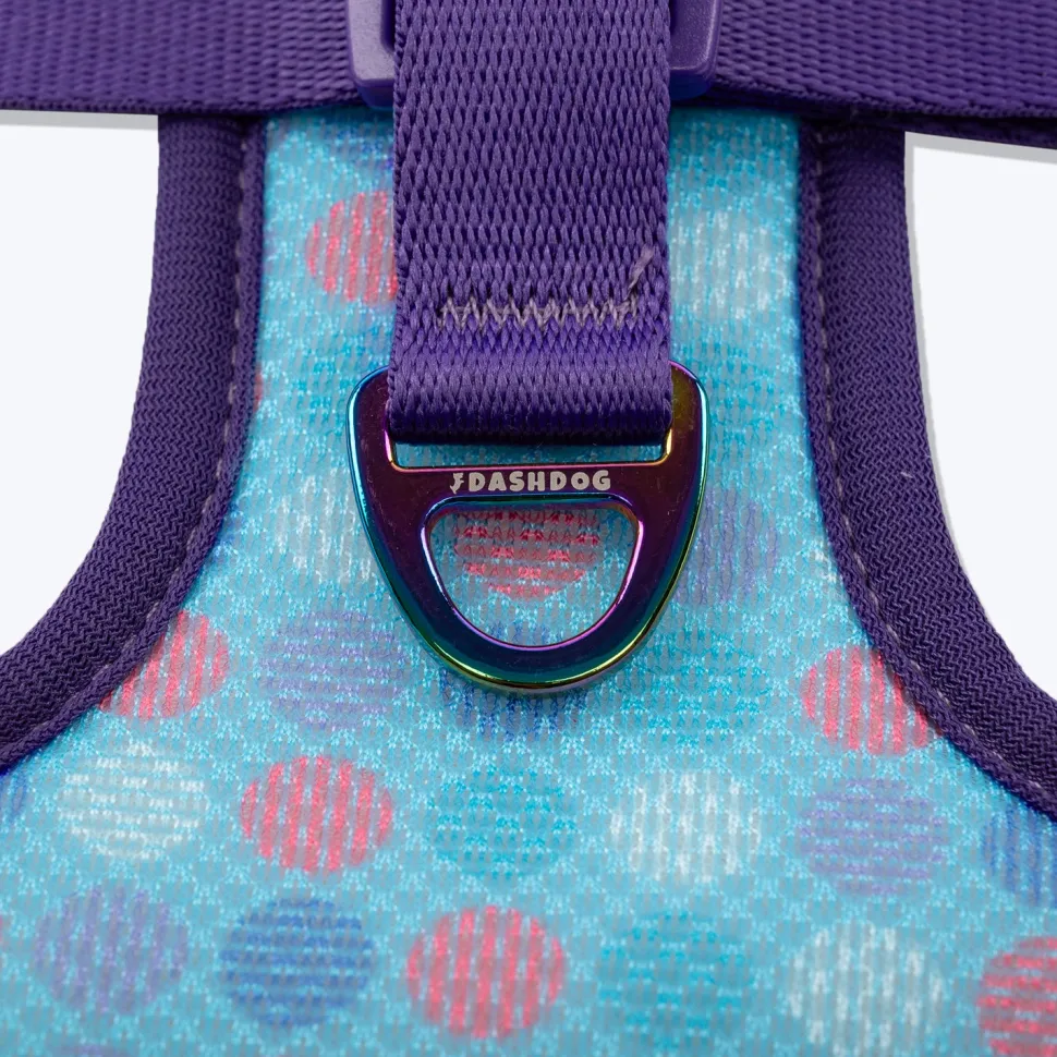 Dash Dog Circle Double Harness - Aqua Blue & Lavender