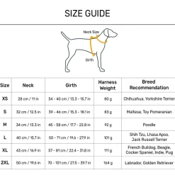 Dash Dog Circle Double Harness - Aqua Blue & Lavender
