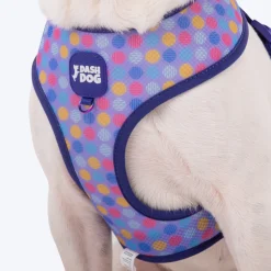 Dash Dog Circle Double Harness - Aqua Blue & Lavender