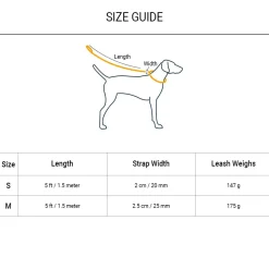 Dash Dog Circle Printed Leash - Aqua Blue & Lavender