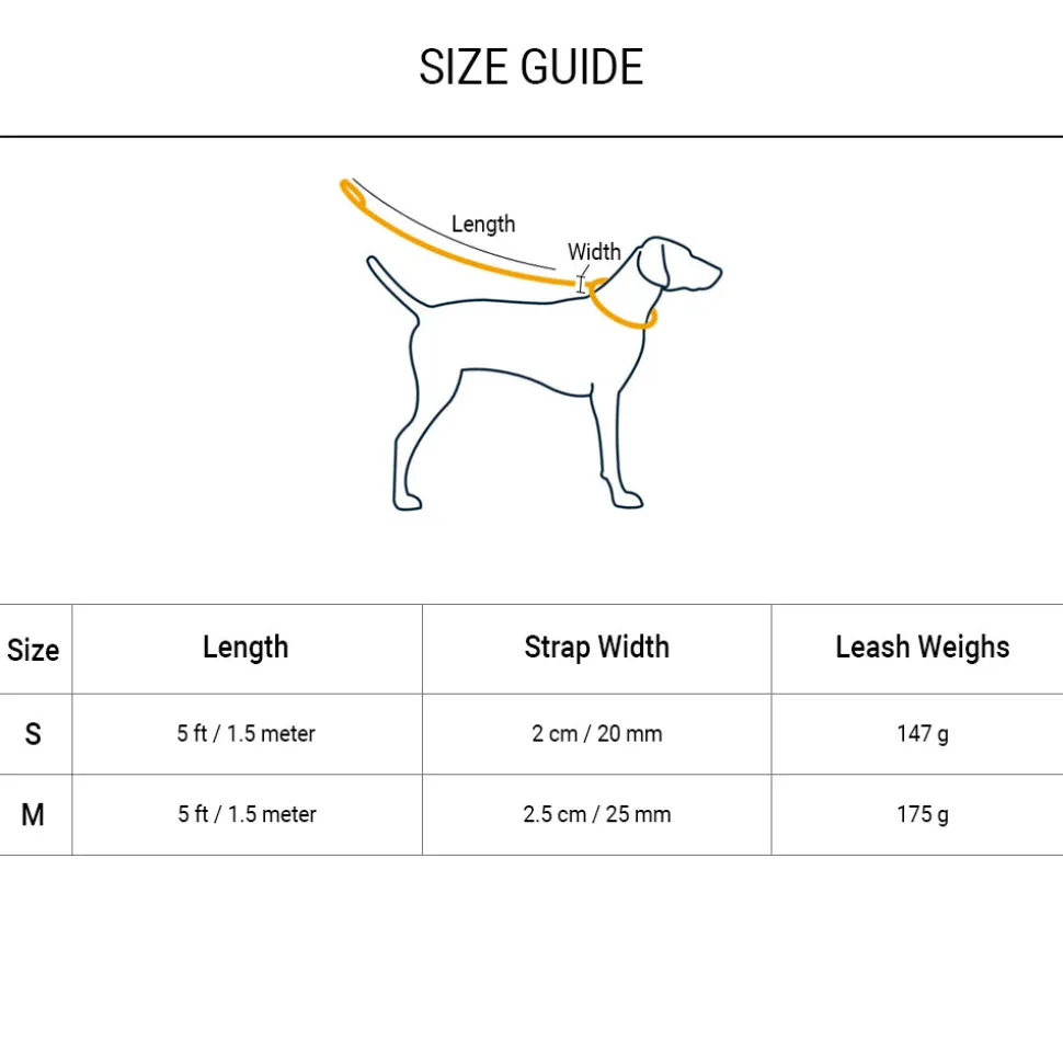 Dash Dog Circle Printed Leash - Aqua Blue & Lavender