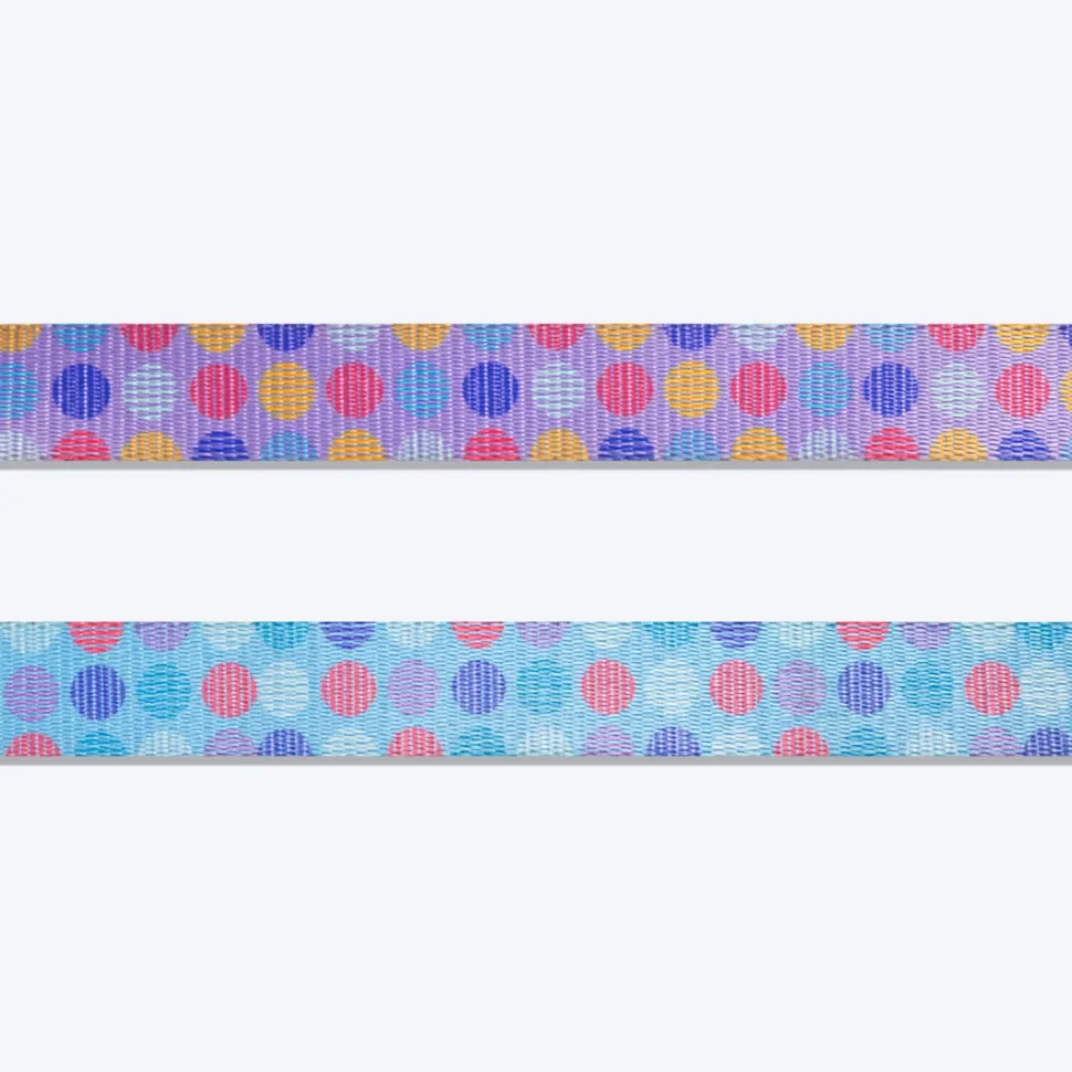 Dash Dog Circle Printed Leash - Aqua Blue & Lavender