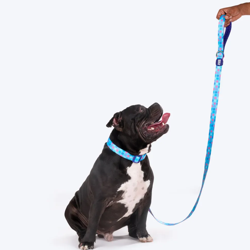 Dash Dog Circle Printed Leash - Aqua Blue & Lavender