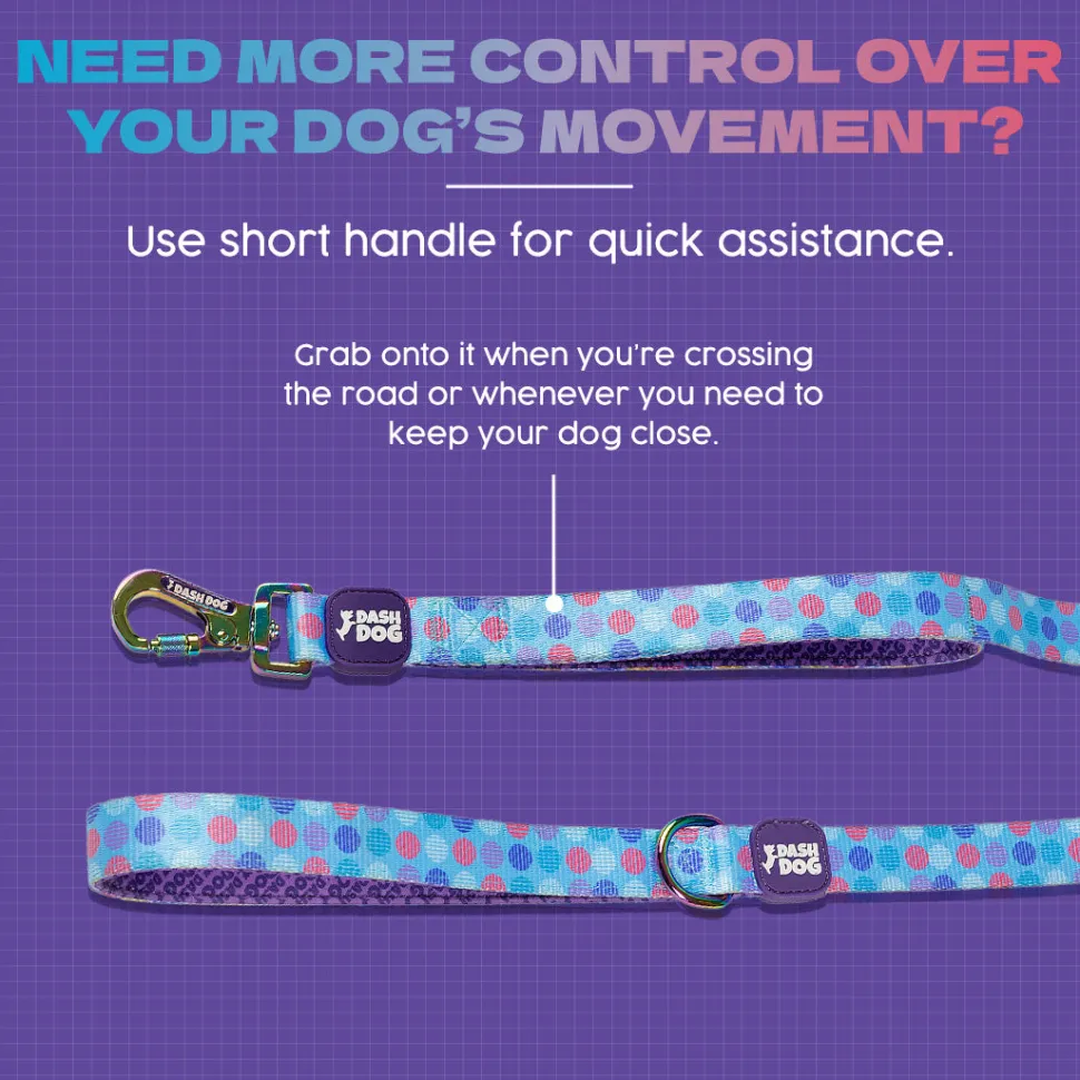 Dash Dog Circle Printed Leash - Aqua Blue & Lavender