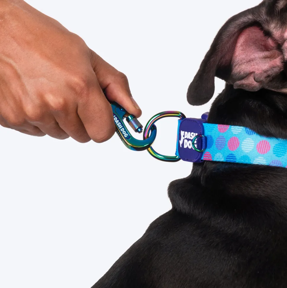 Dash Dog Circle Printed Leash - Aqua Blue & Lavender