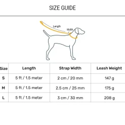 Dash Dog Circle Print Leash - Aqua Blue & Lavender