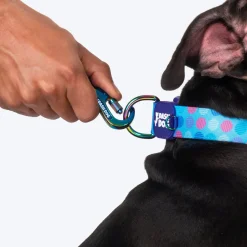 Dash Dog Circle Print Leash - Aqua Blue & Lavender