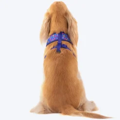 Dash Dog Circle Reversible Harness - Violet & Red