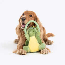 Dash Dog Dino Squeaky-Saurus Plush Toy For Dog - Green