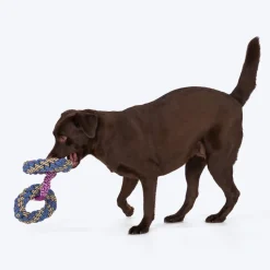 Dash Dog Double Donut Bungee Rope Toy For Dog - Blue