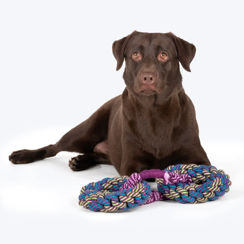 Dash Dog Double Donut Bungee Rope Toy For Dog - Blue