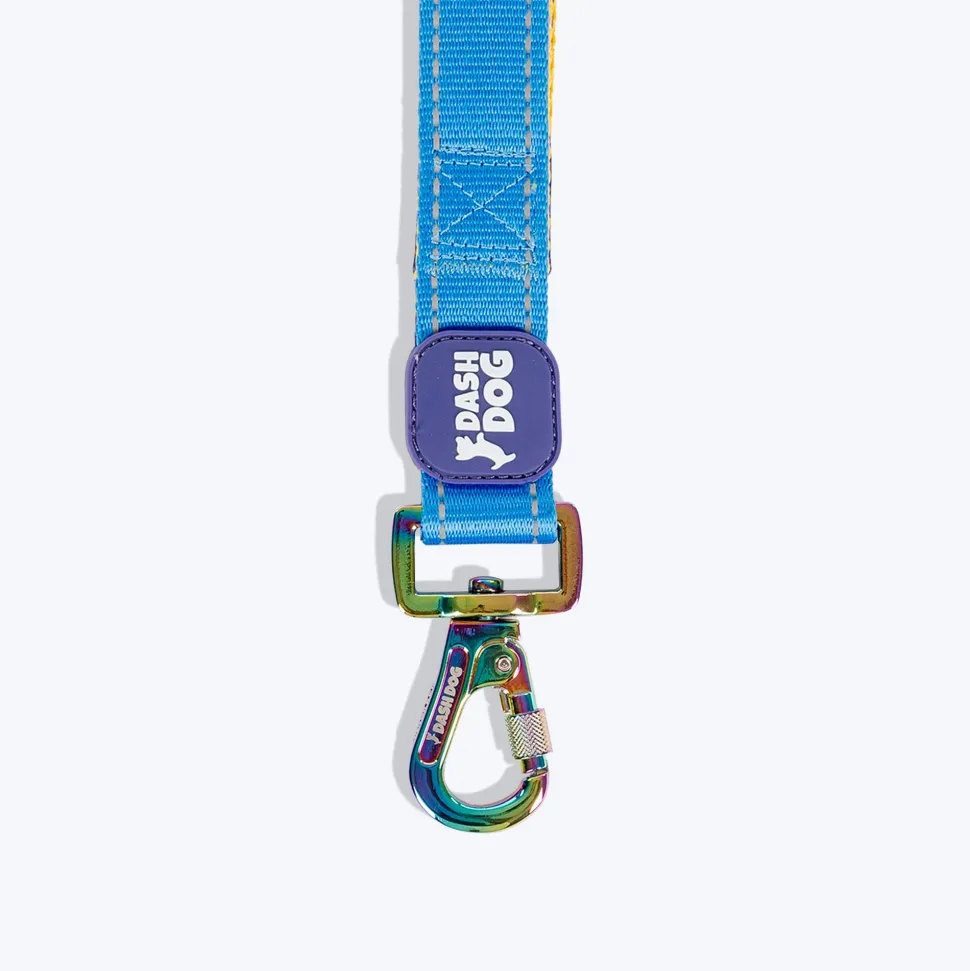 Dash Dog Dual Handle Leash For Dog - Royal Blue & Yellow