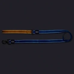 Dash Dog Dual Handle Leash For Dog - Royal Blue & Yellow