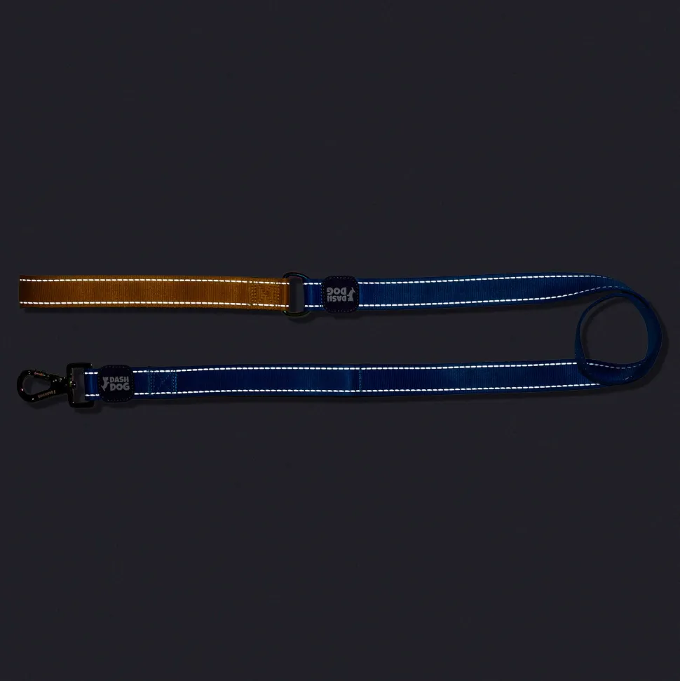 Dash Dog Dual Handle Leash For Dog - Royal Blue & Yellow