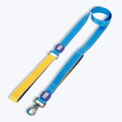 Dash Dog Dual Handle Leash For Dog - Royal Blue & Yellow