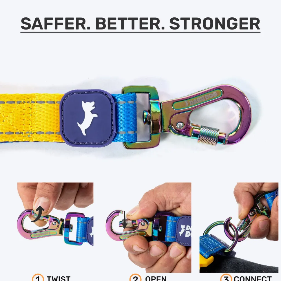 Dash Dog Dual Handle Leash For Dog - Royal Blue & Yellow