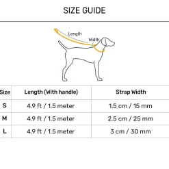 Dash Dog Dual Handle Leash For Dog - Royal Blue & Yellow