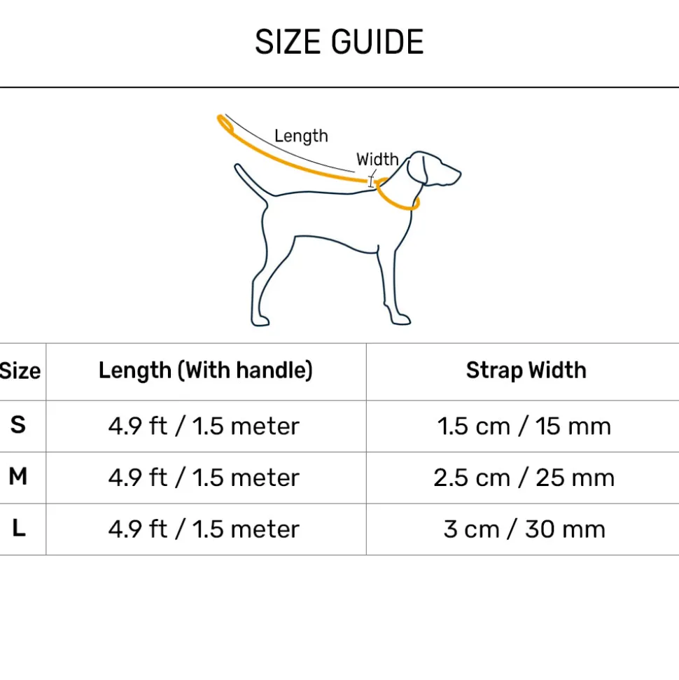 Dash Dog Dual Handle Leash For Dog - Royal Blue & Yellow