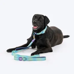 Dash Dog Ethernal Fade Dual Handle Leash For Dog - Aqua